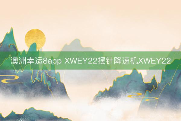 澳洲幸運(yùn)8app XWEY22擺針降速機(jī)XWEY22